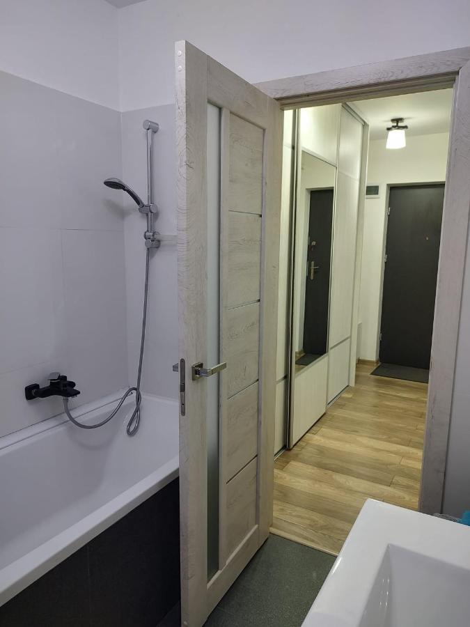 Casa Ioana Apartment Targu Mures Exterior photo